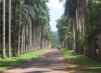 Peradeniya.jpg